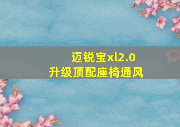 迈锐宝xl2.0升级顶配座椅通风