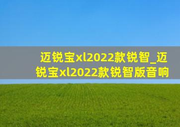 迈锐宝xl2022款锐智_迈锐宝xl2022款锐智版音响