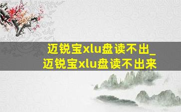 迈锐宝xlu盘读不出_迈锐宝xlu盘读不出来