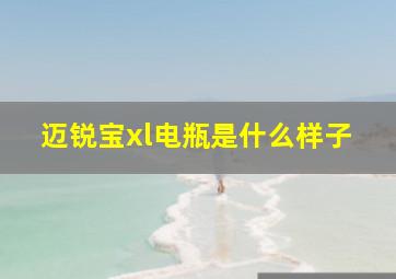 迈锐宝xl电瓶是什么样子