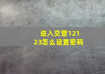 进入交管12123怎么设置密码