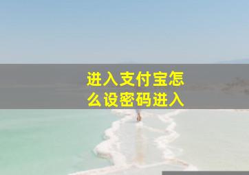 进入支付宝怎么设密码进入