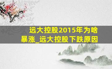 远大控股2015年为啥暴涨_远大控股下跌原因