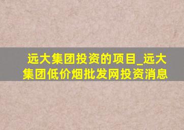 远大集团投资的项目_远大集团(低价烟批发网)投资消息