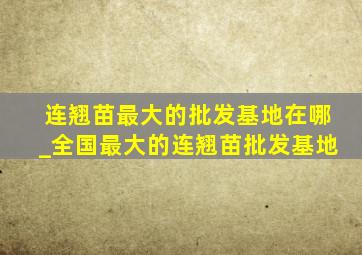 连翘苗最大的批发基地在哪_全国最大的连翘苗批发基地