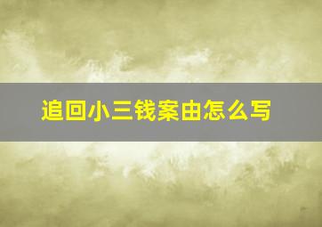 追回小三钱案由怎么写