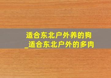 适合东北户外养的狗_适合东北户外的多肉