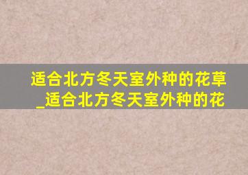 适合北方冬天室外种的花草_适合北方冬天室外种的花