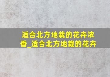 适合北方地栽的花卉浓香_适合北方地栽的花卉