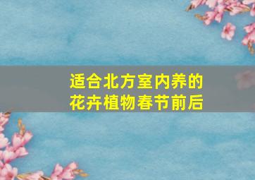 适合北方室内养的花卉植物春节前后