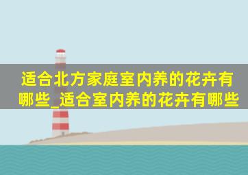 适合北方家庭室内养的花卉有哪些_适合室内养的花卉有哪些