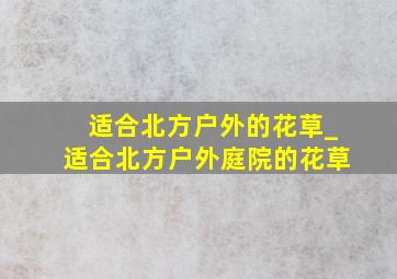 适合北方户外的花草_适合北方户外庭院的花草