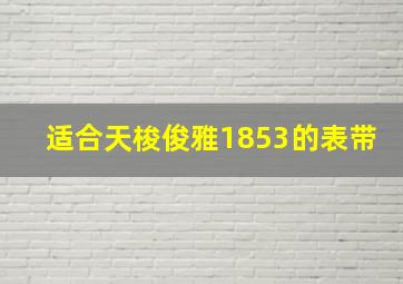 适合天梭俊雅1853的表带