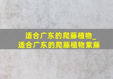 适合广东的爬藤植物_适合广东的爬藤植物紫藤