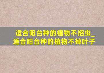 适合阳台种的植物不招虫_适合阳台种的植物不掉叶子