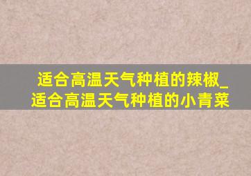 适合高温天气种植的辣椒_适合高温天气种植的小青菜