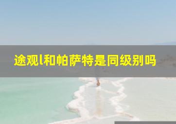 途观l和帕萨特是同级别吗