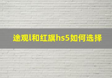 途观l和红旗hs5如何选择