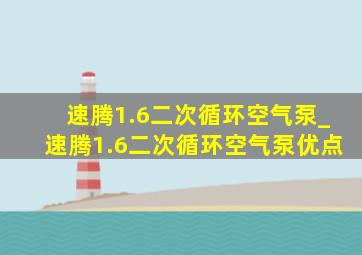 速腾1.6二次循环空气泵_速腾1.6二次循环空气泵优点