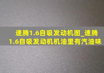 速腾1.6自吸发动机图_速腾1.6自吸发动机机油里有汽油味