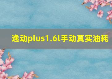 逸动plus1.6l手动真实油耗