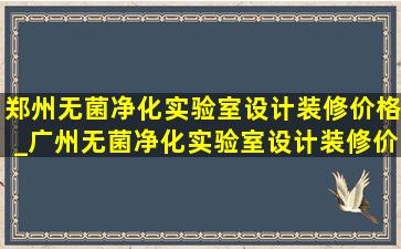 郑州无菌净化实验室设计装修价格_广州无菌净化实验室设计装修价格