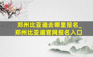 郑州比亚迪去哪里报名_郑州比亚迪官网报名入口