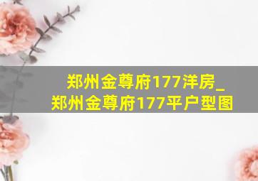 郑州金尊府177洋房_郑州金尊府177平户型图