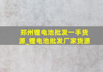 郑州锂电池批发一手货源_锂电池批发厂家货源