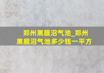 郑州黑膜沼气池_郑州黑膜沼气池多少钱一平方