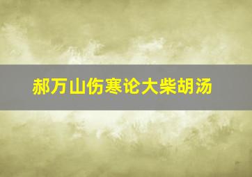 郝万山伤寒论大柴胡汤