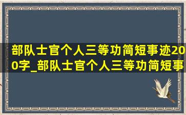 部队士官个人三等功简短事迹200字_部队士官个人三等功简短事迹