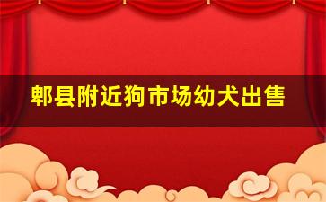 郫县附近狗市场幼犬出售