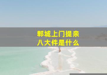 郸城上门提亲八大件是什么