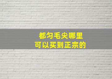 都匀毛尖哪里可以买到正宗的