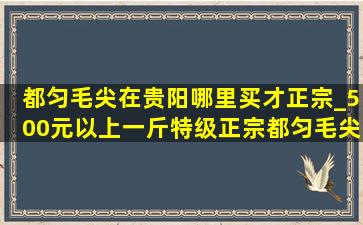 都匀毛尖在贵阳哪里买才正宗_500元以上一斤特级正宗都匀毛尖