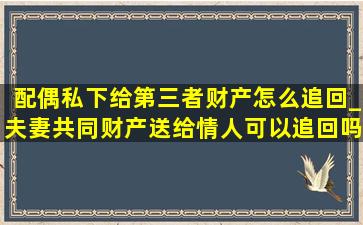 配偶私下给第三者财产怎么追回_夫妻共同财产送给情人可以追回吗