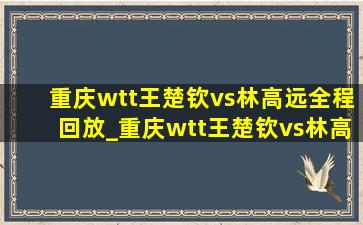 重庆wtt王楚钦vs林高远全程回放_重庆wtt王楚钦vs林高远