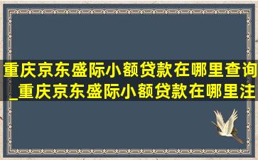 重庆京东盛际小额贷款在哪里查询_重庆京东盛际小额贷款在哪里注销