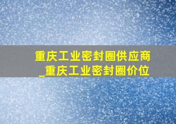 重庆工业密封圈供应商_重庆工业密封圈价位