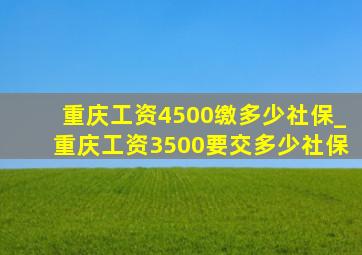 重庆工资4500缴多少社保_重庆工资3500要交多少社保