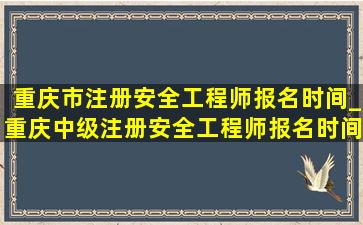 重庆市注册安全工程师报名时间_重庆中级注册安全工程师报名时间