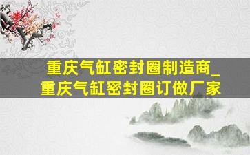 重庆气缸密封圈制造商_重庆气缸密封圈订做厂家