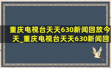 重庆电视台天天630新闻回放今天_重庆电视台天天630新闻回放