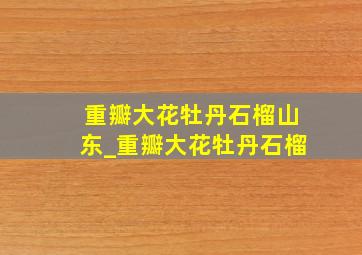 重瓣大花牡丹石榴山东_重瓣大花牡丹石榴