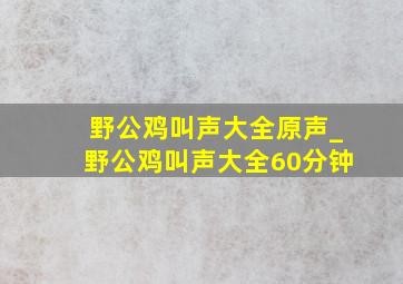 野公鸡叫声大全原声_野公鸡叫声大全60分钟