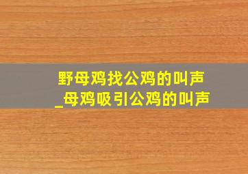 野母鸡找公鸡的叫声_母鸡吸引公鸡的叫声