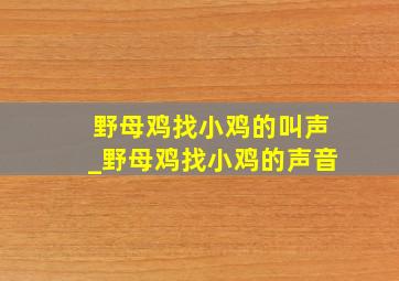 野母鸡找小鸡的叫声_野母鸡找小鸡的声音