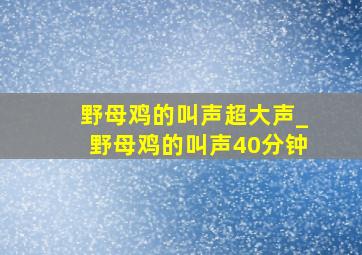 野母鸡的叫声超大声_野母鸡的叫声40分钟