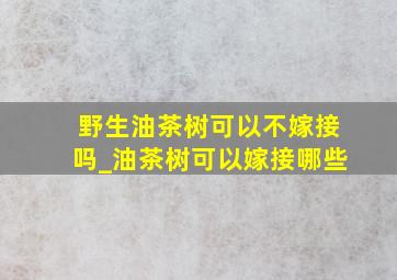 野生油茶树可以不嫁接吗_油茶树可以嫁接哪些